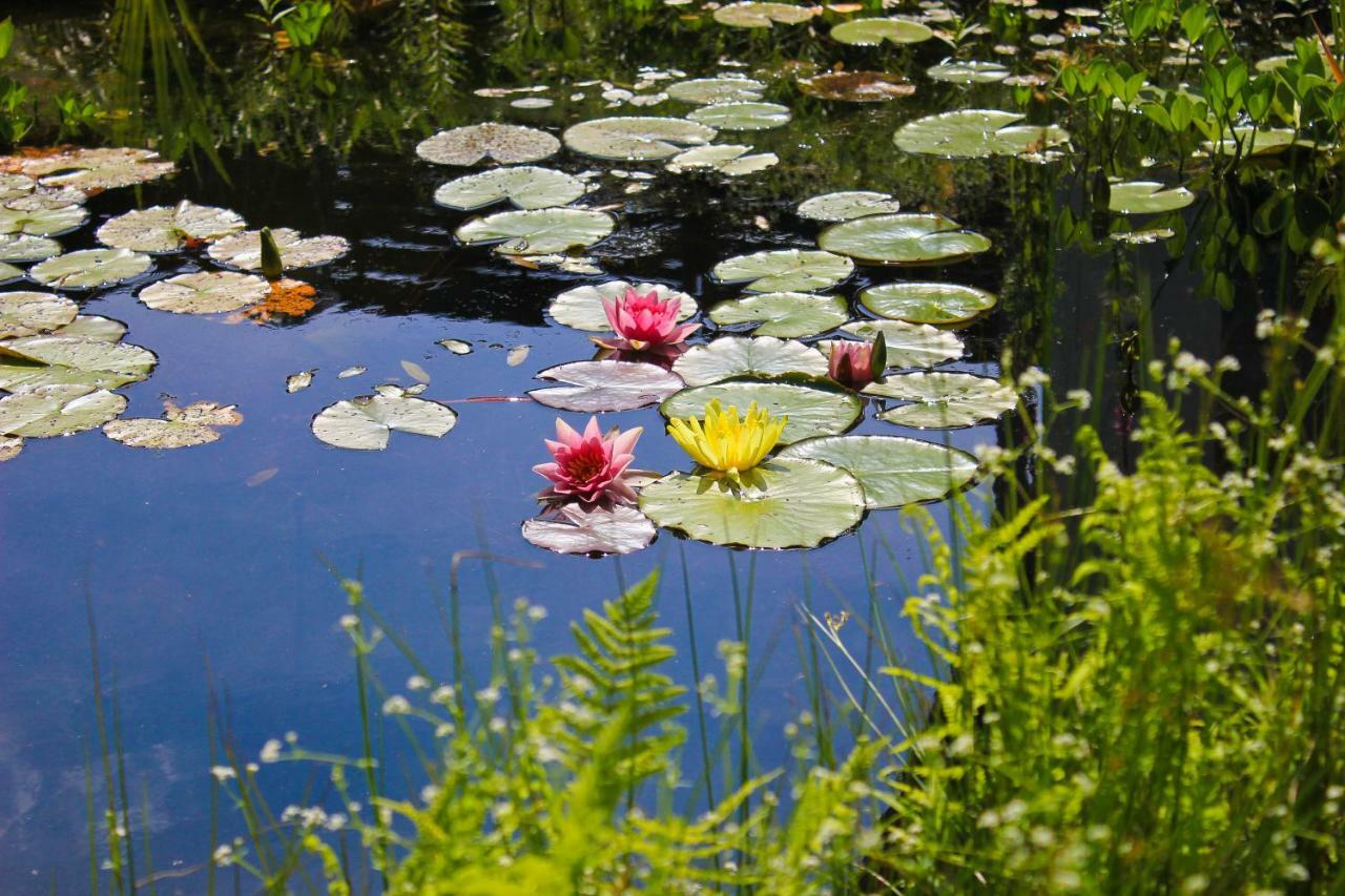 An Der Hainmuehle Lübben Exteriér fotografie