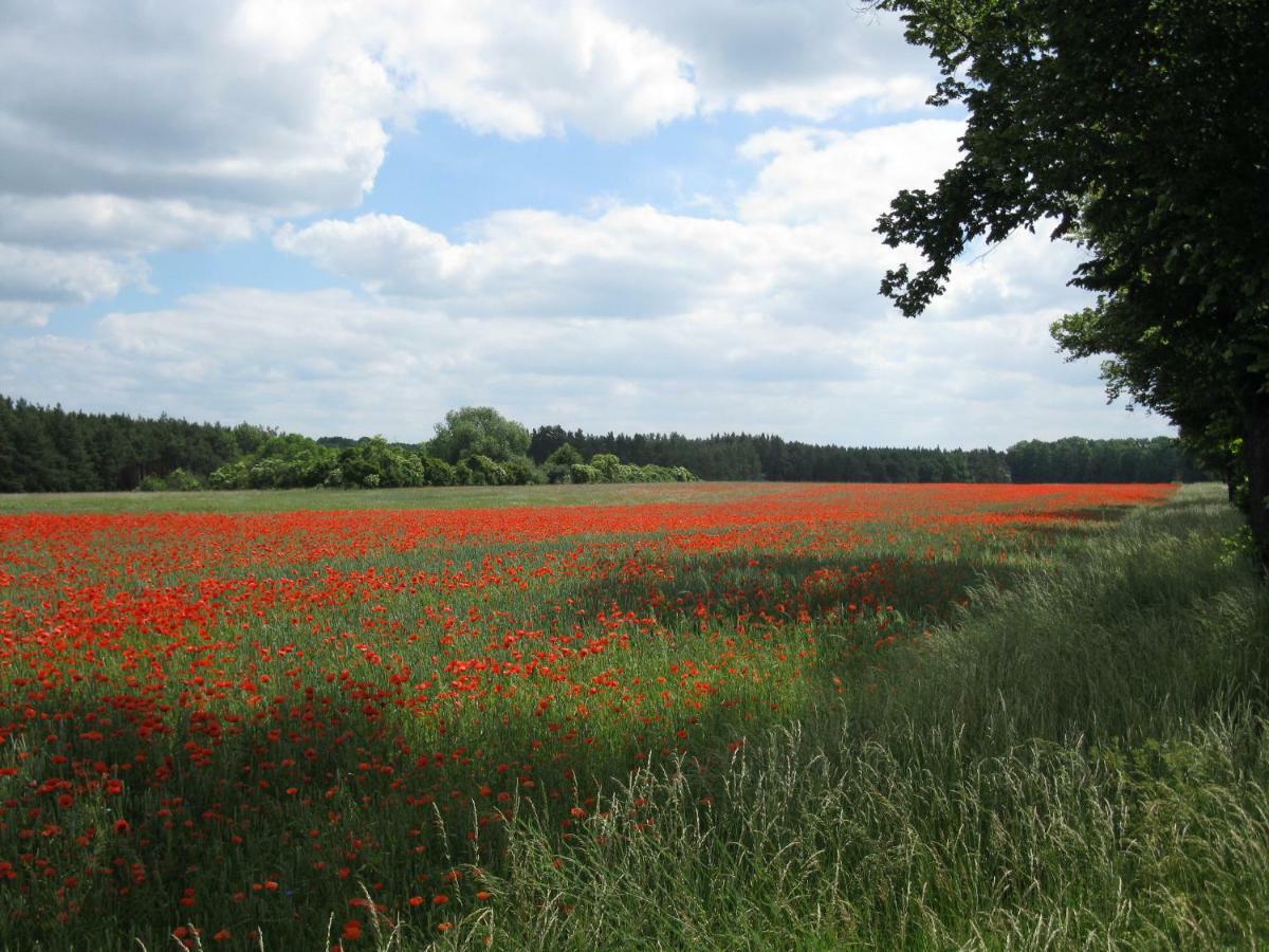An Der Hainmuehle Lübben Exteriér fotografie